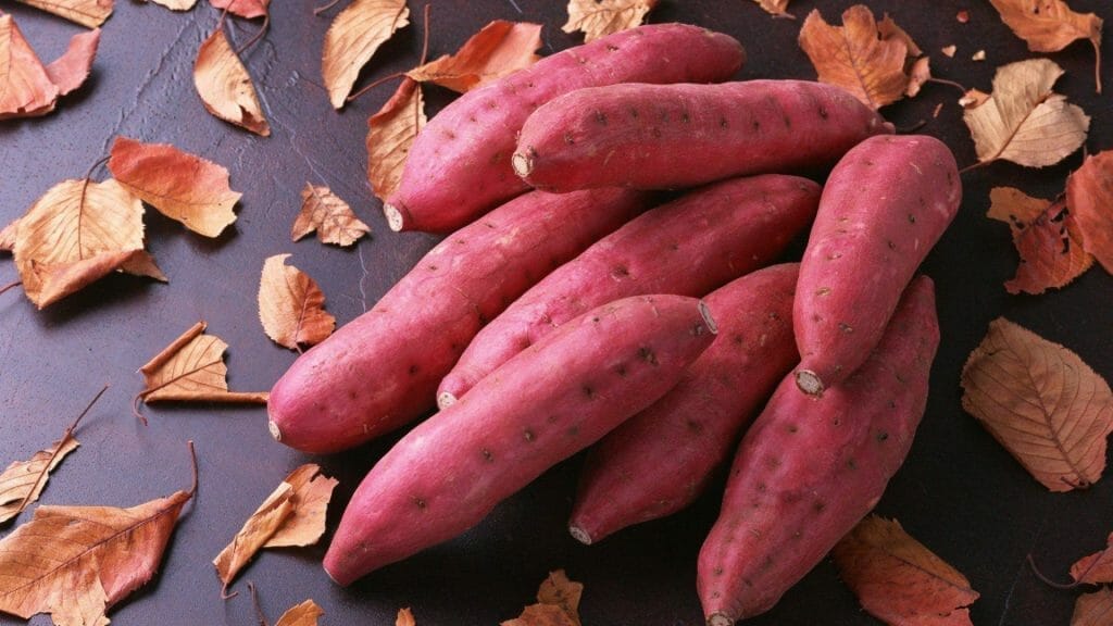 how long can you store sweet potatoes 1 2