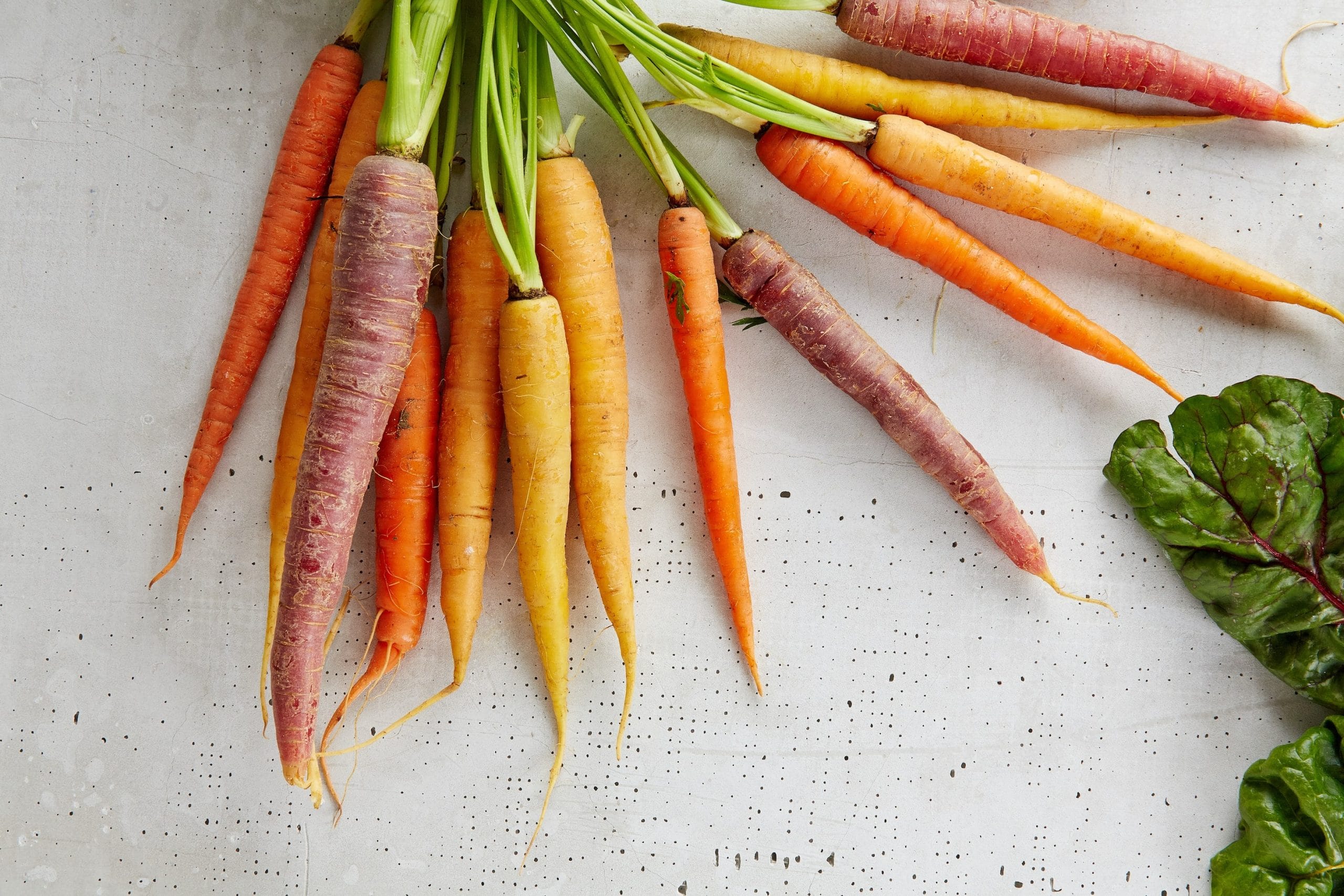 Which Carrot is Good for Health? Find the Optimal Variety!