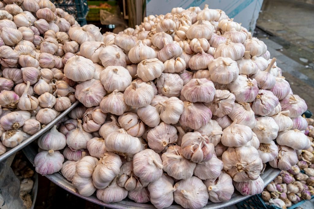 which garlic is best for health 2 2