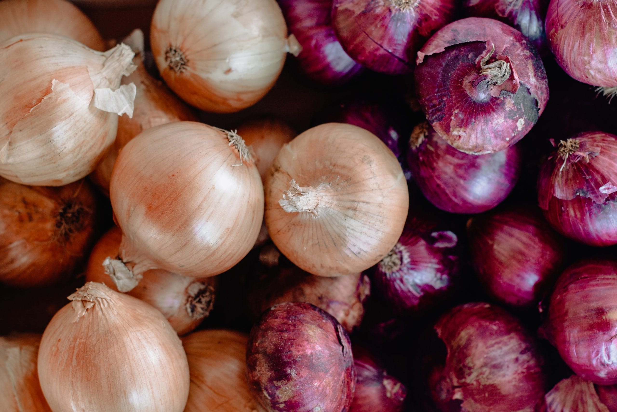 Which Onion is Good for Health: Red or White? The Verdict